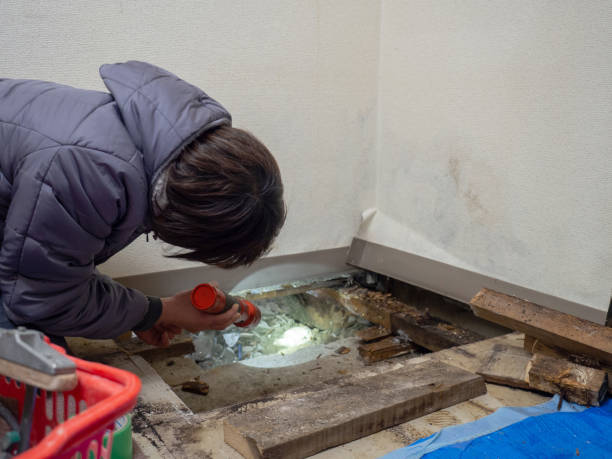 Best Dehumidification Services  in Oak Grove, SC