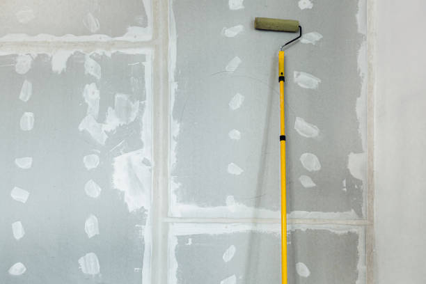 Best Industrial Mold Remediation  in Oak Grove, SC
