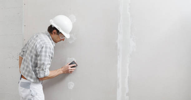 Best Emergency Mold Remediation  in Oak Grove, SC