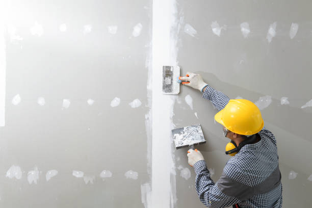 Best Mold Remediation for Healthcare Facilities  in Oak Grove, SC