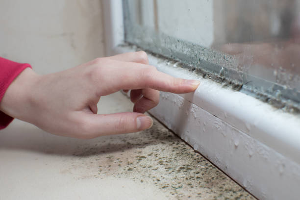 Best HVAC Mold Inspection and Cleaning  in Oak Grove, SC