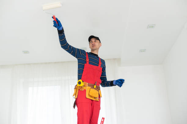 Mold Documentation for Insurance Claims in Oak Grove, SC