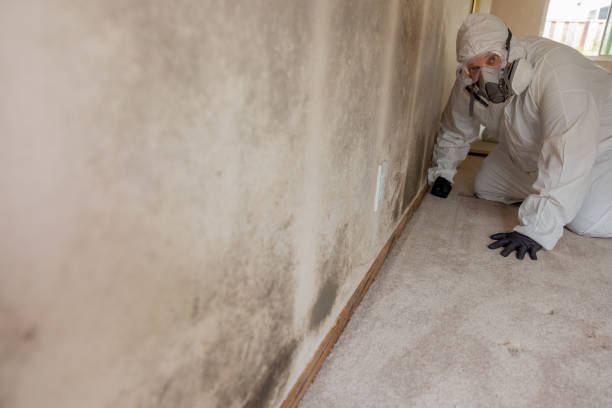 Best Mold Remediation for Rental Properties  in Oak Grove, SC